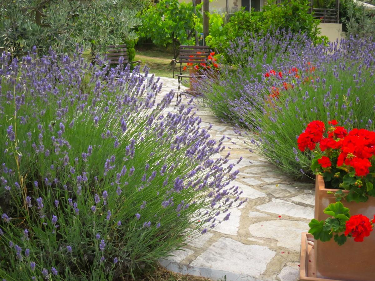 Ferienwohnung Casa Del Tramonto Civitella in Val di Chiana Exterior foto